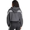 Adidas striukė