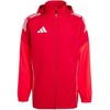 Adidas striukė