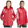 Adidas striukė