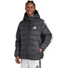 Adidas striukė