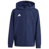 Adidas striukė