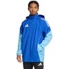 Adidas striukė