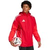Adidas striukė