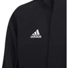 Adidas striukė