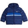 Adidas striukė