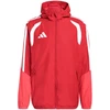 Adidas striukė