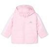 Adidas striukė