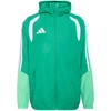 Adidas striukė