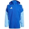Adidas striukė