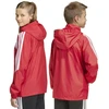 Adidas striukė