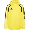 Adidas striukė