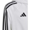 Adidas striukė