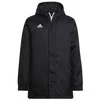 Adidas striukė
