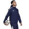 Adidas striukė