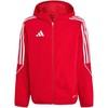 Adidas striukė