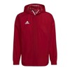 Adidas striukė