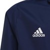 Adidas striukė