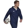 Adidas striukė
