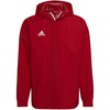 Adidas striukė