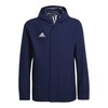 Adidas striukė