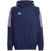 Adidas striukė