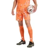 Adidas teamwear šortai