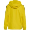 Adidas teamwear striukė