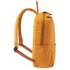 Iguana kuprinė