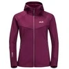 Jack Wolfskin striukė