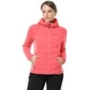 Jack Wolfskin striukė