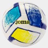 Joma kamuolys