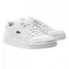 Lacoste bateliai