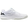 Mizuno bateliai