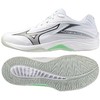 Mizuno bateliai