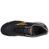 Mizuno bateliai