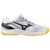 Mizuno bateliai