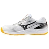 Mizuno bateliai