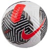 Nike kamuolys