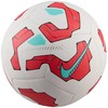Nike kamuolys
