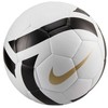 Nike kamuolys