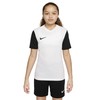 Nike marškinėliai
