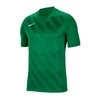 Nike marškinėliai