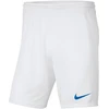 Nike ortai