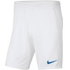 Nike ortai