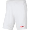 Nike šortai