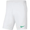 Nike šortai