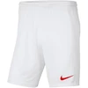 Nike šortai