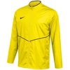 Nike striukė