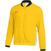 Nike Team džemperis