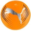 Puma kamuolys